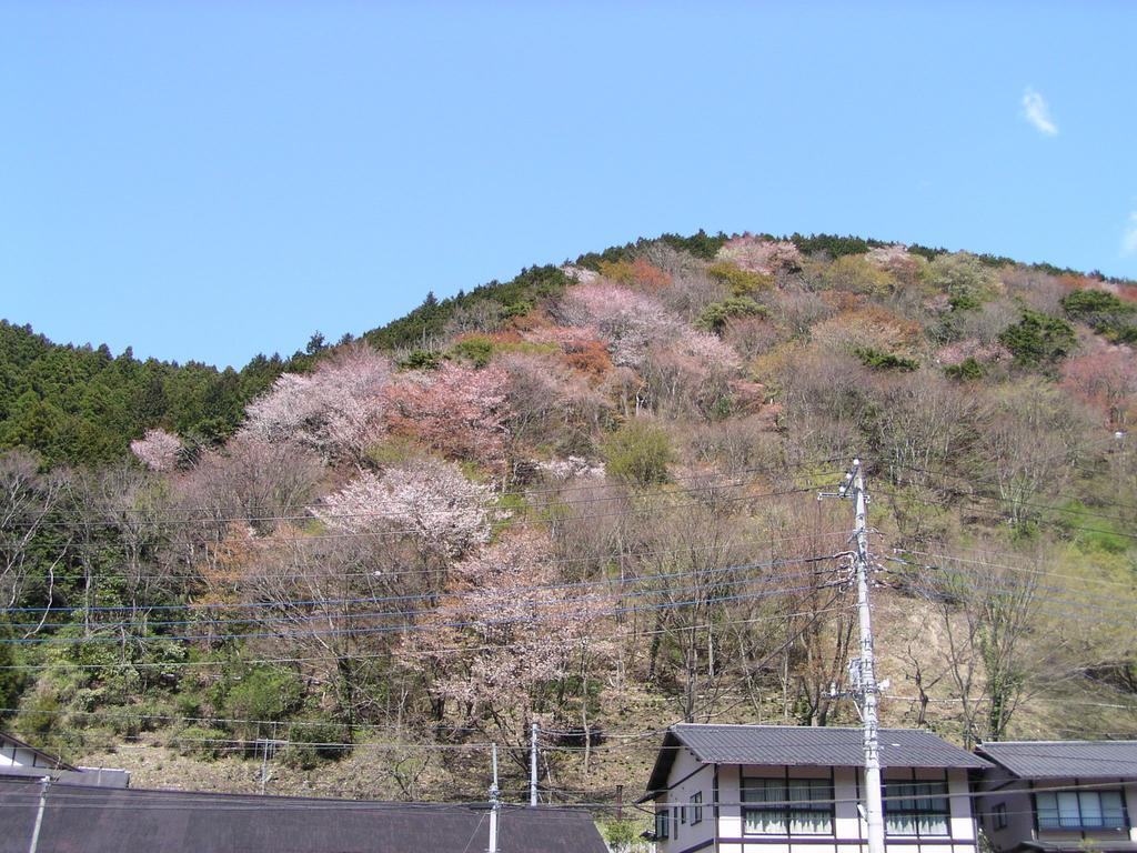 Irorino Yado Sankichi Hotel Izu  Exterior foto
